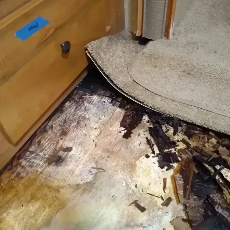 Wood Floor Water Damage in La Crosse County, WI